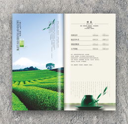 激發(fā)生命的香氣 捷達菜譜公司的飲品拍攝與設(shè)計藝術(shù)